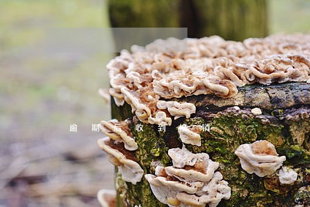 逾期后收到推销 逾期后收到推销