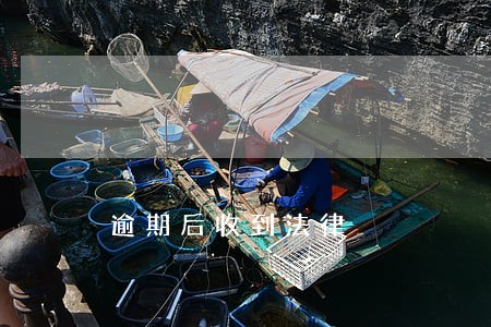 逾期后收到法律 逾期后收到法律