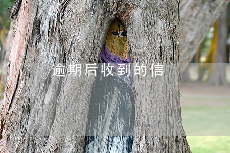逾期后收到的信 逾期后收到的信