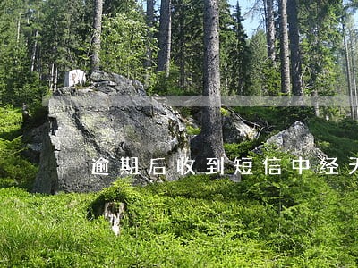 逾期后收到短信中经天平司法鉴定 逾期后收到短信中经天平司法鉴定