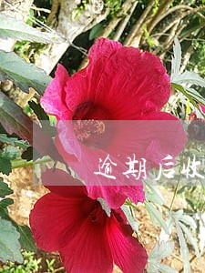 逾期后收到立案短信 逾期后收到立案短信