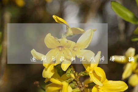 逾期后收到说我涉嫌诈骗名单 逾期后收到说我涉嫌诈骗名单