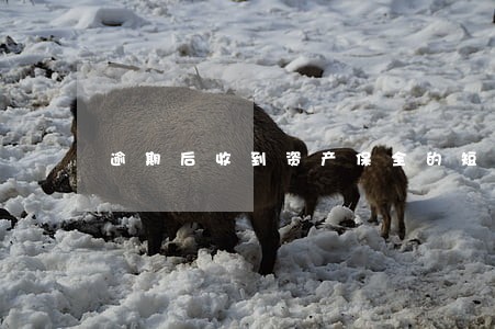 逾期后收到资产保全的短信 逾期后收到资产保全的短信