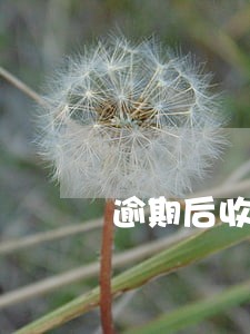 逾期后收到邮件 逾期后收到邮件
