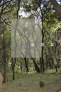 逾期后收取账单总额的 逾期后收取账单总额的