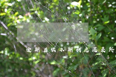 逾期后收本期利息还是所有利息 逾期后收本期利息还是所有利息