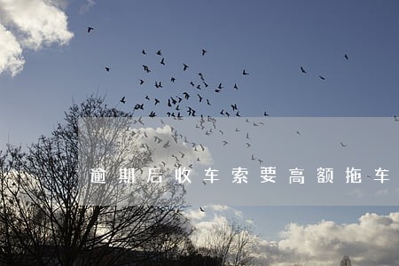 逾期后收车索要高额拖车费定罪 逾期后收车索要高额拖车费定罪