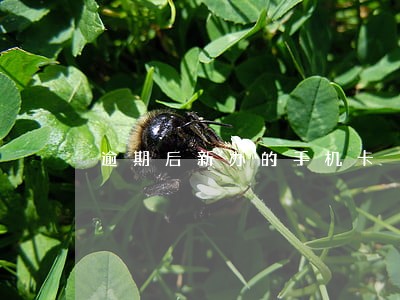 逾期后新办的手机卡 逾期后新办的手机卡