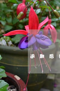 逾期后新存的联系人电话会读取吗 逾期后新存的联系人电话会读取吗