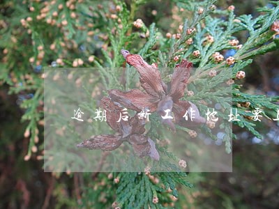 逾期后新工作地址要上报吗 逾期后新工作地址要上报吗