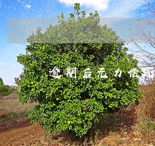 逾期后无力偿还丢了工作 逾期后无力偿还丢了工作