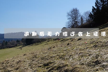 逾期后无力偿还会上征信吗 逾期后无力偿还会上征信吗