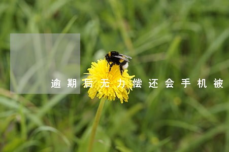 逾期后无力偿还会手机被定位吗 逾期后无力偿还会手机被定位吗