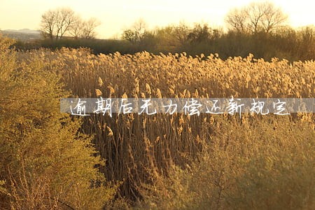 逾期后无力偿还新规定 逾期后无力偿还新规定