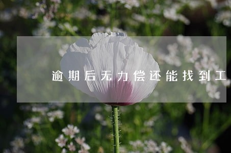 逾期后无力偿还能找到工作吗 逾期后无力偿还能找到工作吗