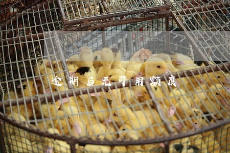 逾期后无可用额度