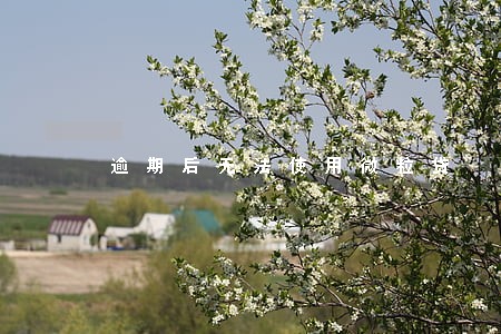 逾期后无法使用微粒贷 逾期后无法使用微粒贷