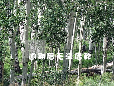 逾期后无法借款 逾期后无法借款