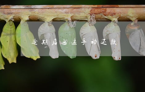 逾期后无法手动还款 逾期后无法手动还款