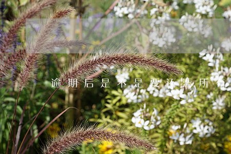 逾期后是不是要还清所有欠款 逾期后是不是要还清所有欠款