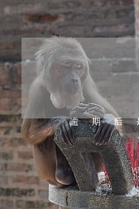 逾期后是利息加违约金吗 逾期后是利息加违约金吗