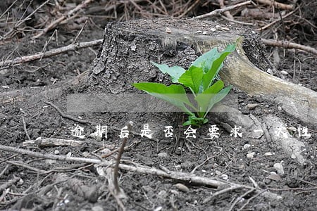 逾期后是否会要求一次性还清 逾期后是否会要求一次性还清