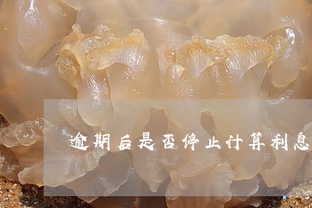 逾期后是否停止计算利息 逾期后是否停止计算利息