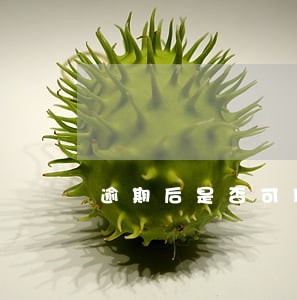逾期后是否可以借款 逾期后是否可以借款