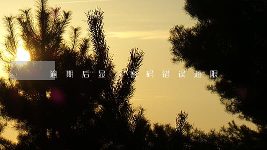 逾期后显示密码错误超限 逾期后显示密码错误超限