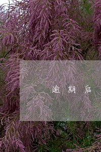 逾期后显示状态正常 逾期后显示状态正常