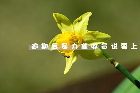 逾期后暴力催收员说要上门 逾期后暴力催收员说要上门