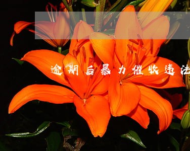 逾期后暴力催收违法吗 逾期后暴力催收违法吗