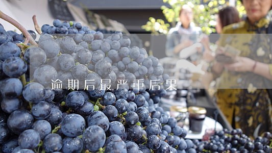 逾期后最严重后果 逾期后最严重后果