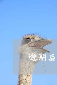 逾期后最低还款是先抵本金 逾期后最低还款是先抵本金