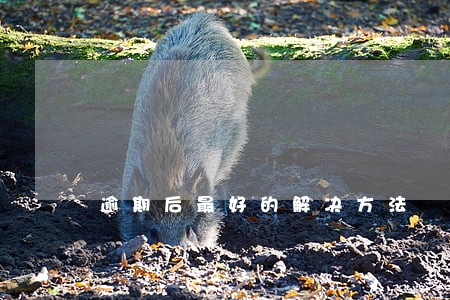 逾期后最好的解决方法 逾期后最好的解决方法