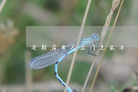 逾期后有人上门怎么办 逾期后有人上门怎么办