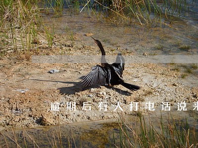 逾期后有人打电话说来我家