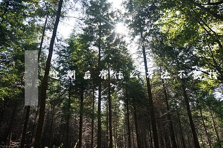 逾期后有什么方法不被找到通讯录 逾期后有什么方法不被找到通讯录