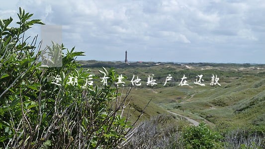 逾期后有其他账户在还款 逾期后有其他账户在还款