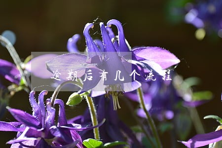 逾期后有几个流程 逾期后有几个流程