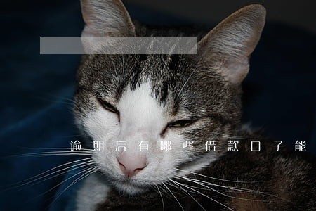 逾期后有哪些借款口子能下来 逾期后有哪些借款口子能下来