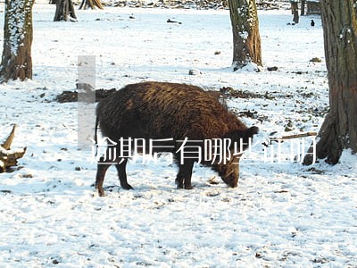 逾期后有哪些证明