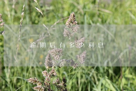 逾期后有多少利息 逾期后有多少利息