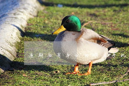 逾期后有本地的陌生手机号 逾期后有本地的陌生手机号
