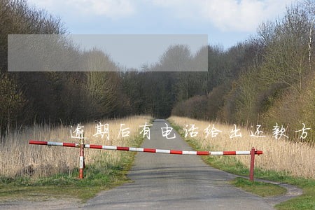 逾期后有电话给出还款方法 逾期后有电话给出还款方法