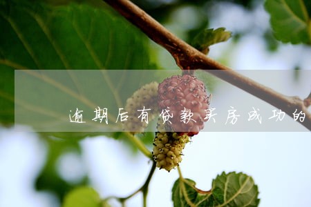 逾期后有贷款买房成功的吗 逾期后有贷款买房成功的吗