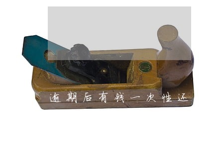 逾期后有钱一次性还 逾期后有钱一次性还