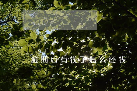 逾期后有钱了怎么还钱 逾期后有钱了怎么还钱