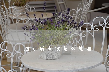 逾期后有钱怎么处理 逾期后有钱怎么处理