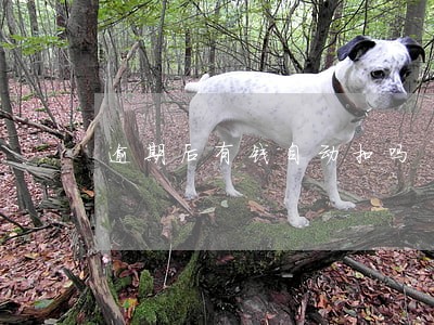逾期后有钱自动扣吗 逾期后有钱自动扣吗